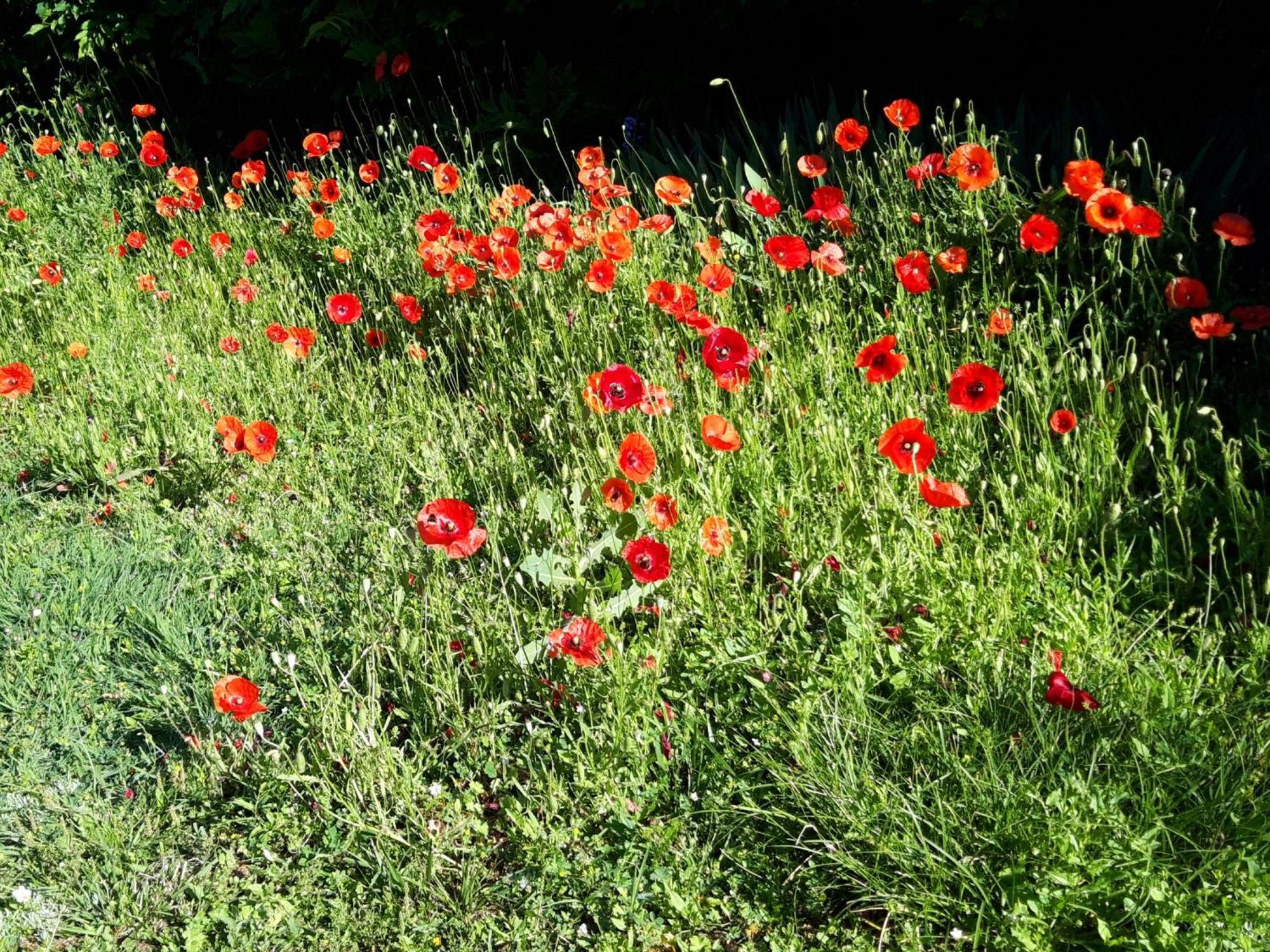 Bed and Breakfast La Passagere Hauterive  Экстерьер фото