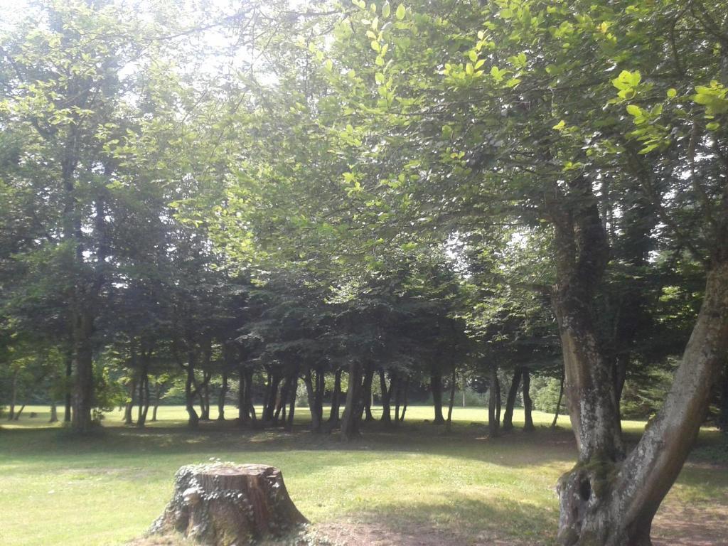 Bed and Breakfast La Passagere Hauterive  Экстерьер фото